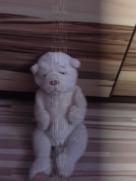 Plyšák darujem k nákupu, 