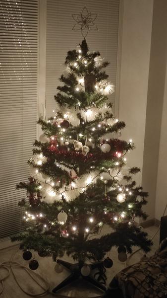 Aký budete mať tento rok vianočný stromček?