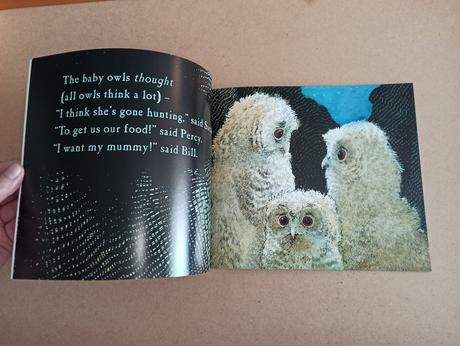 Martin waddell - owl babies, 