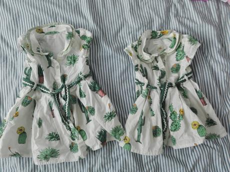 Kaktusove saticky, next,80