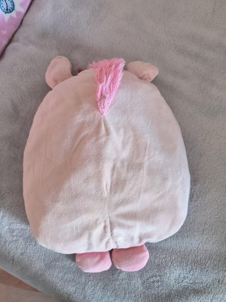 Rainbocorns suprise, 