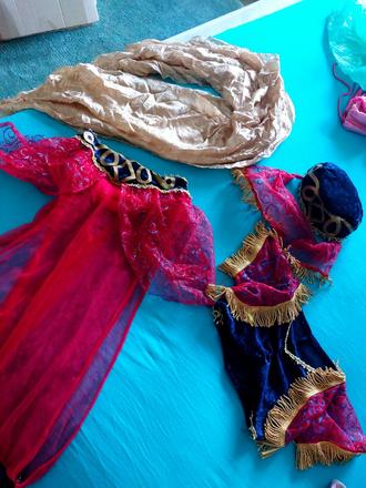 Brušná tanečnica, 