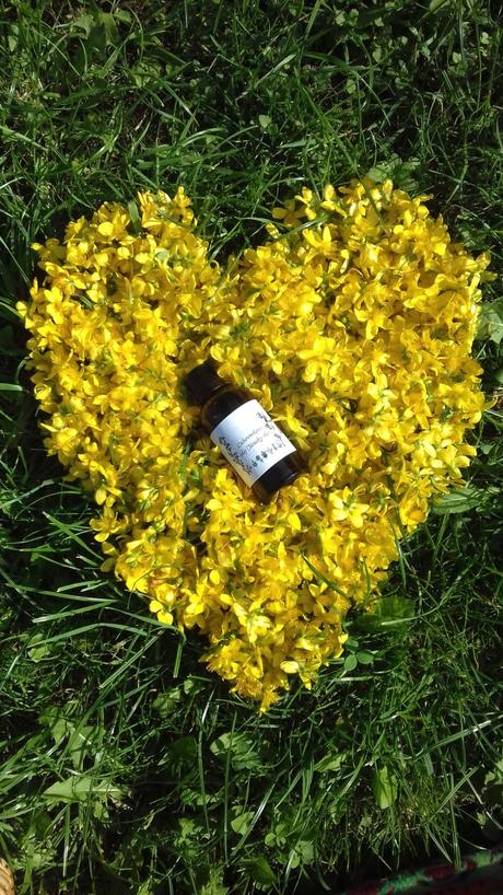 Ľubovníkovy olej (jansky olej), 