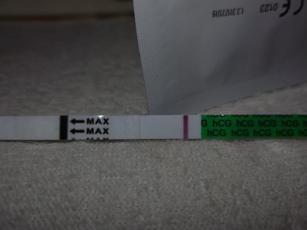 10 dní po ovulácii negatívny test