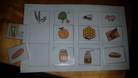 Aktivita postupnosti, 