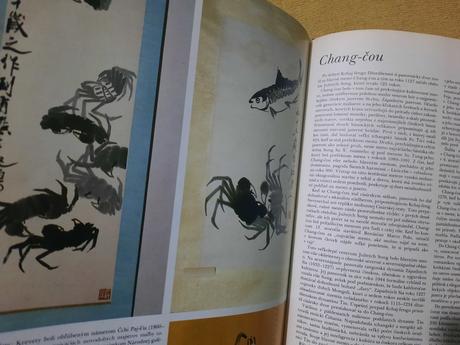 Čína - anna doležalová,