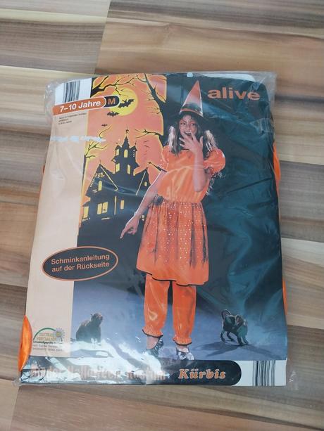 Karnevalový kostým, 