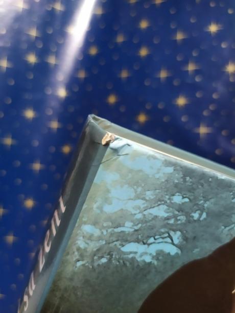 Diabol sa žení, gaelen foley,