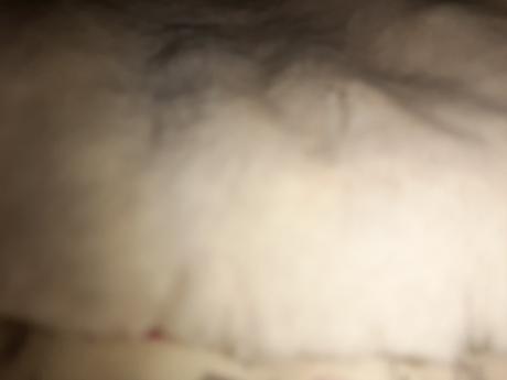 Hebulinký kabátik orchestra, 74