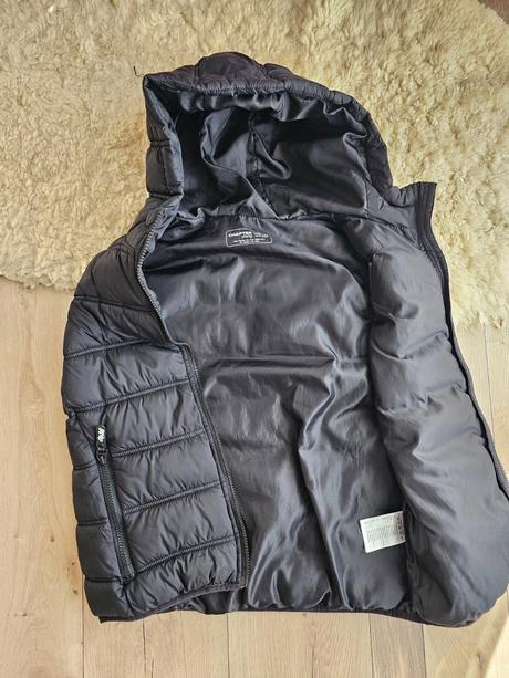 Vesta, chapter young,146