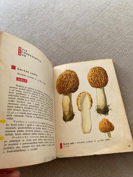 Vreckový atlas húb pilát ušák, 