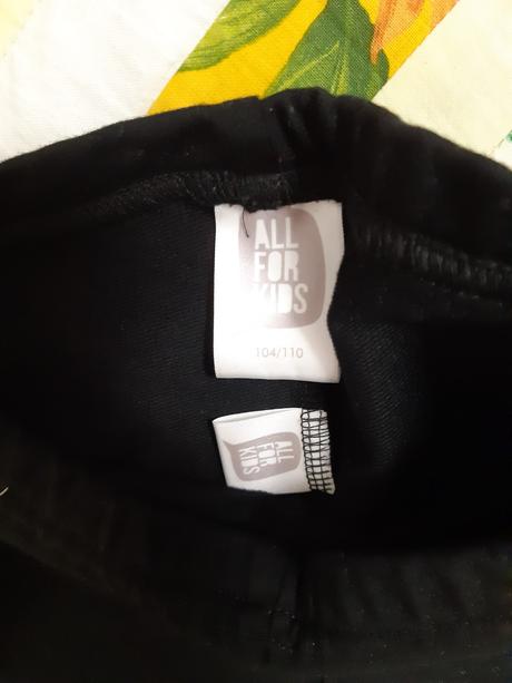 Teplakove leginy, 110