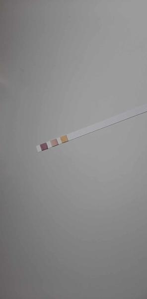 Je tento test na močové cesty pozitívny?