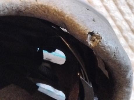 Detska prilba bellelli, xs