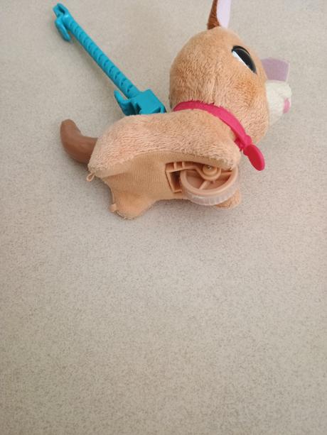 Psík na venčenie na koliesku, 