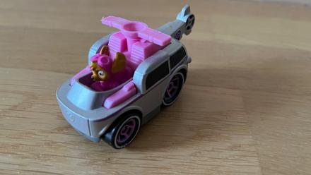 Skye - labková patrola v aute,