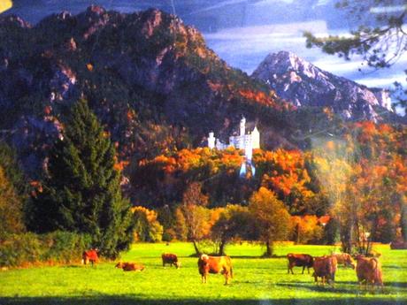 Puzzle - 200 - 2 000 ks, viac druhov, 