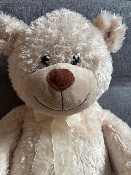 Veľký plyšový medveď, 