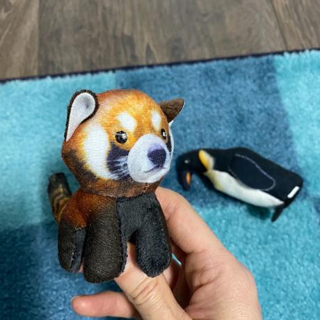 Medvedík a tučniak,