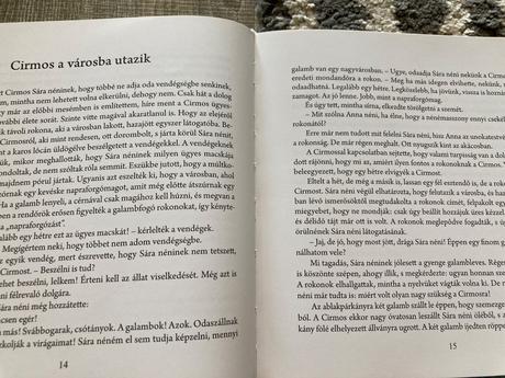 Cirmos a városba megy,