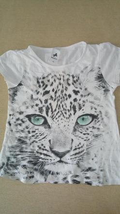 Tričko tiger, palomino,110