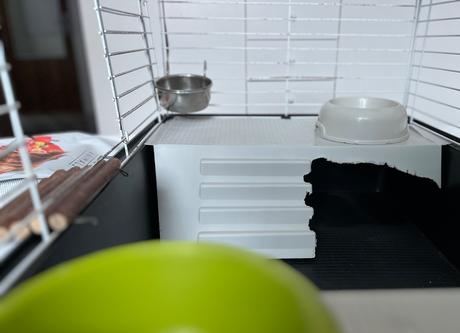 Klietka pre morča s príslušenstvom a krmivom, 