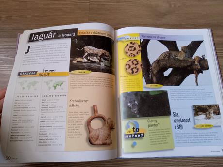 Encyklopédia školáka - cicavce, 