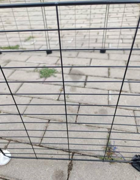 Ohrádka pre morča/ zajaca, 