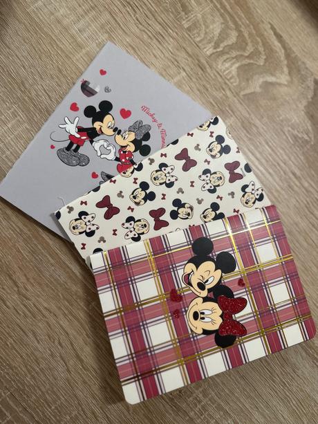 Mickey mouse zápisníky, 