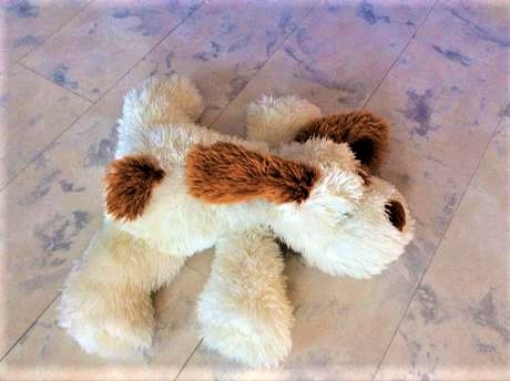 Veľký mäkký strapatý psík, 