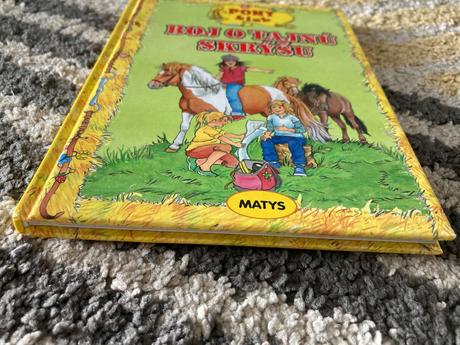 Boj o tajnú skrýšu (2010),