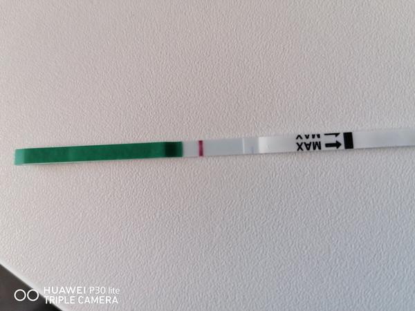 Je to kanálik či duch?