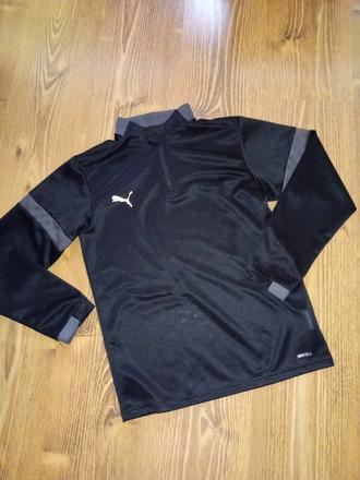 Funkcne teicko, puma,152