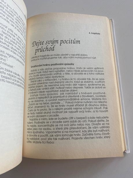 Motivačná kniha síla je ve vás louise l. hay,