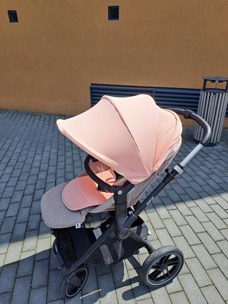 Kočík jané kawai, jané,jané kawai