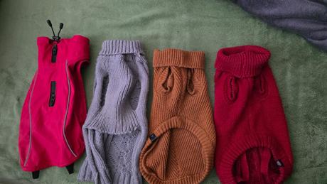 Oblecenie pre psika mendieho vzrastu, 