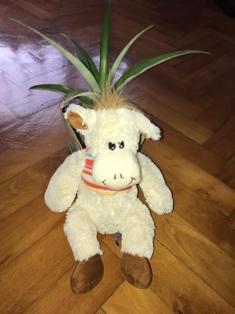 Plyšák ovečka,