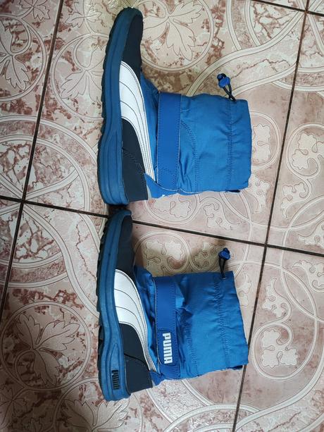 Snehule puma, puma,33