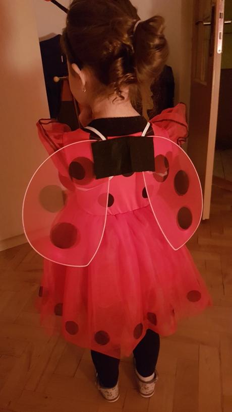 Karneval kostým lienka, 