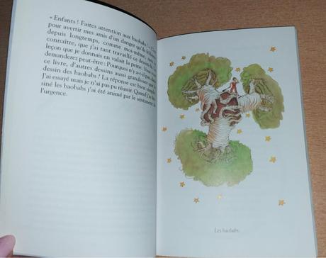 Antoine de saint-exupéry-le petit prince (malý pri, 