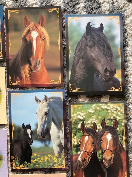 Pohľadnice koní nepopísané 10ks,