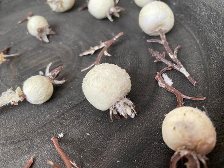 Ozdoba- biele bobule 16 ks,