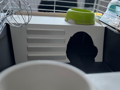 Klietka pre morča s príslušenstvom a krmivom, 