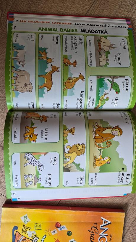 Dve knihy angličtina, 