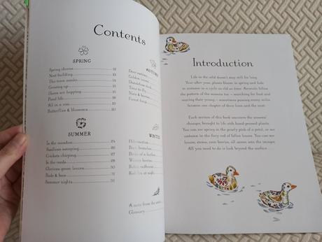 Helen aphornsiri - a year in the wild, 