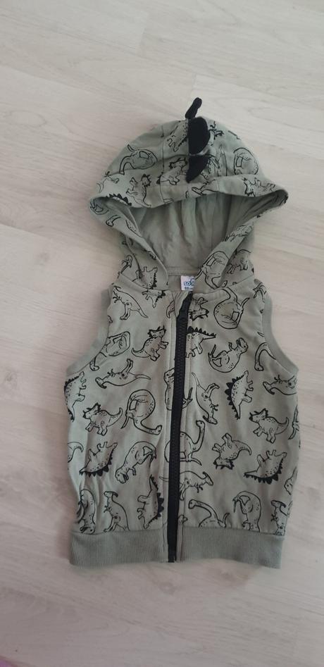 Vesta dino č.80, 80