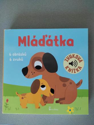 Zvukova kniha - mladatka,