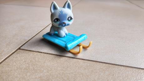Littlest pet shop husky puppy na saniach, 