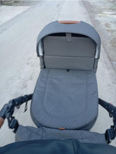 Kočík, roan,roan bloom