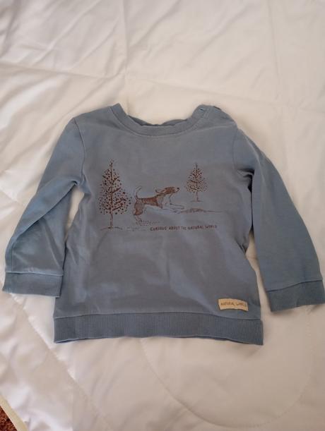 Mikina, coccodrillo,80